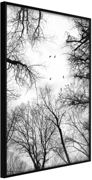 ARTGEIST Poster met lijst - Treetops Zwart 40x60