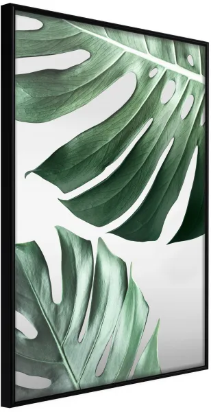 ARTGEIST Poster met lijst - Leaves Like Swiss Cheese Zwart 30x45
